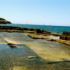 sos-vanda-photo-3